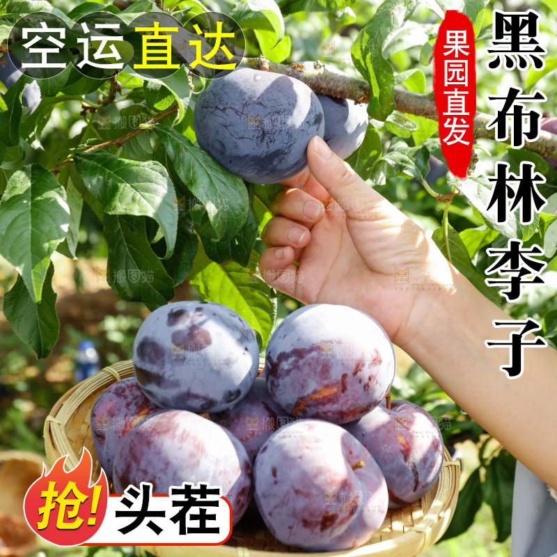 新鲜现摘黑布林