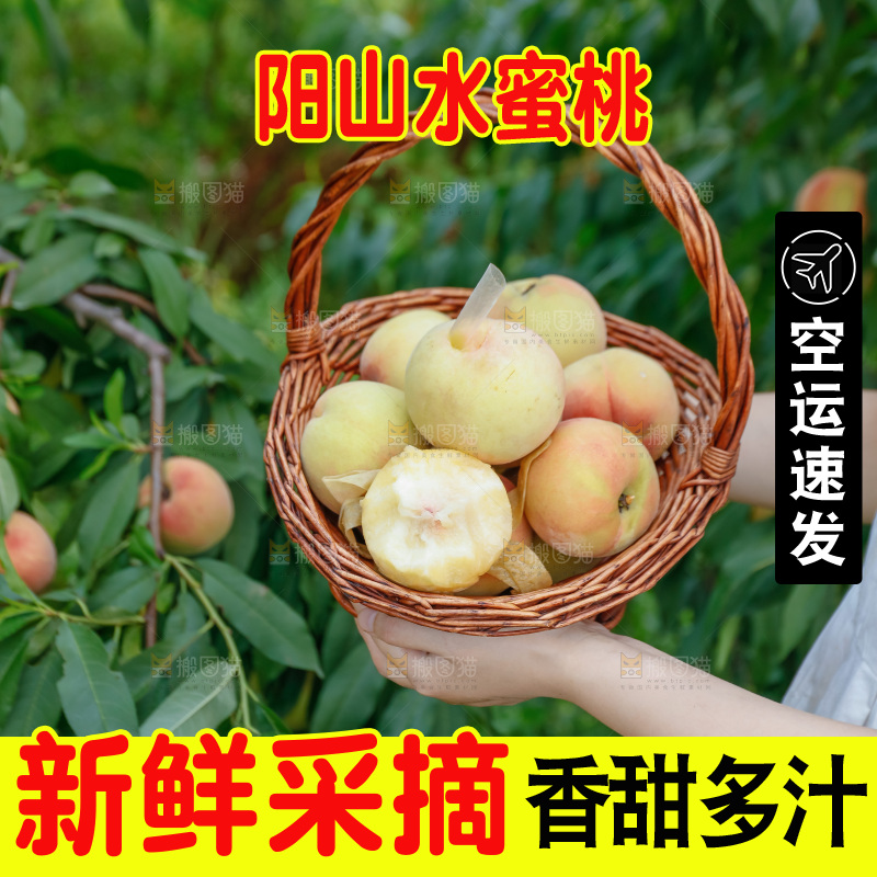 手里拿着现摘水蜜桃