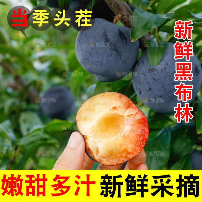 新鲜现摘黑布林
