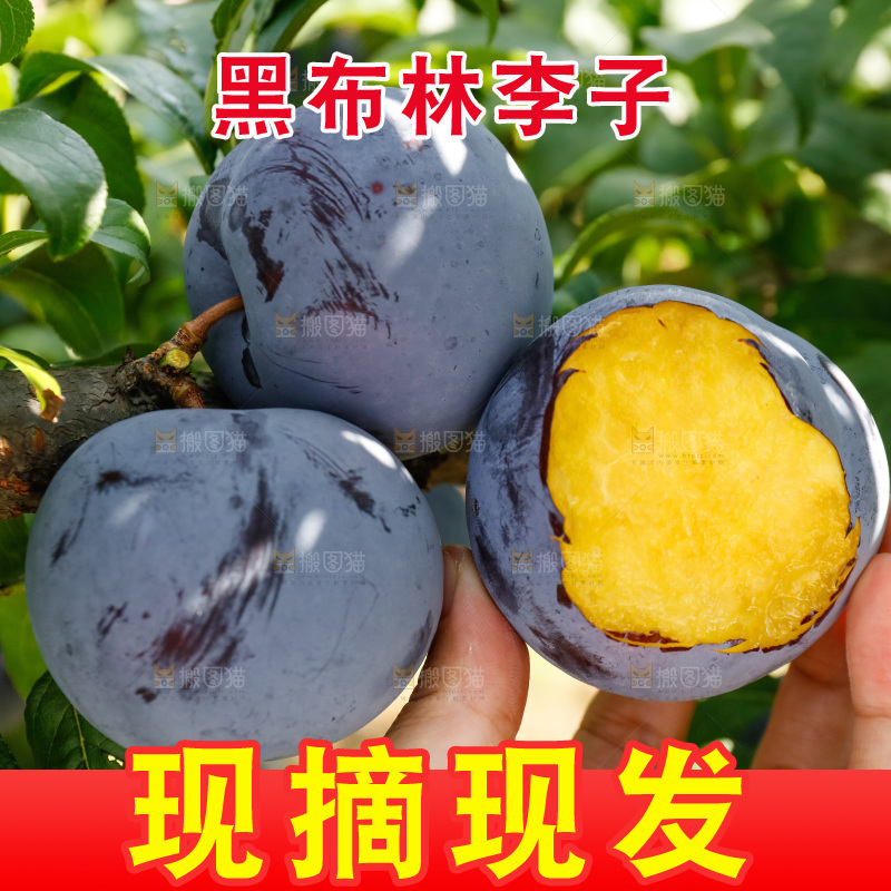 新鲜现摘黑布林