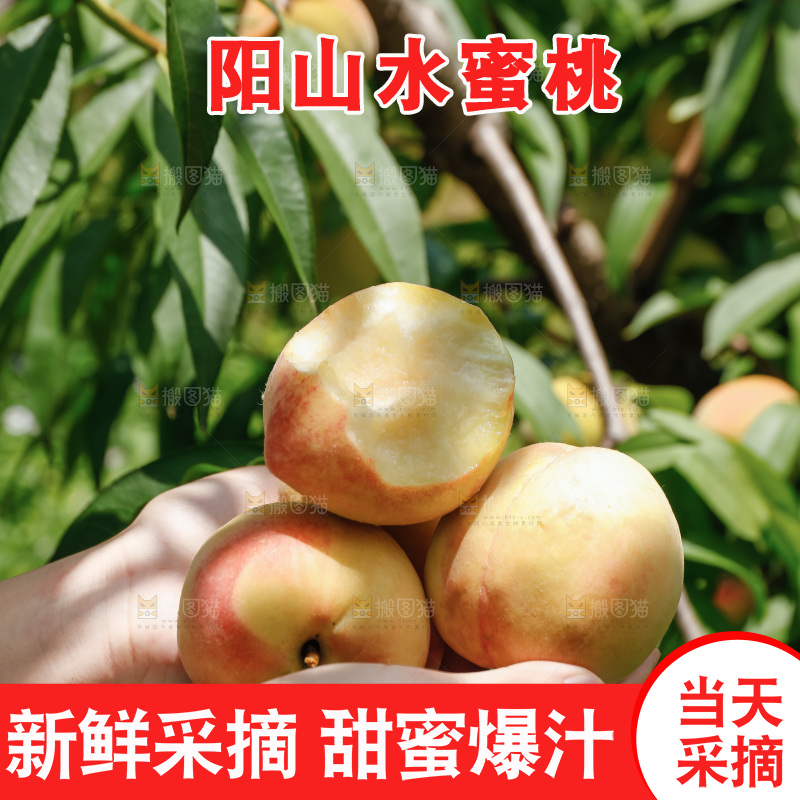 手里拿着现摘水蜜桃