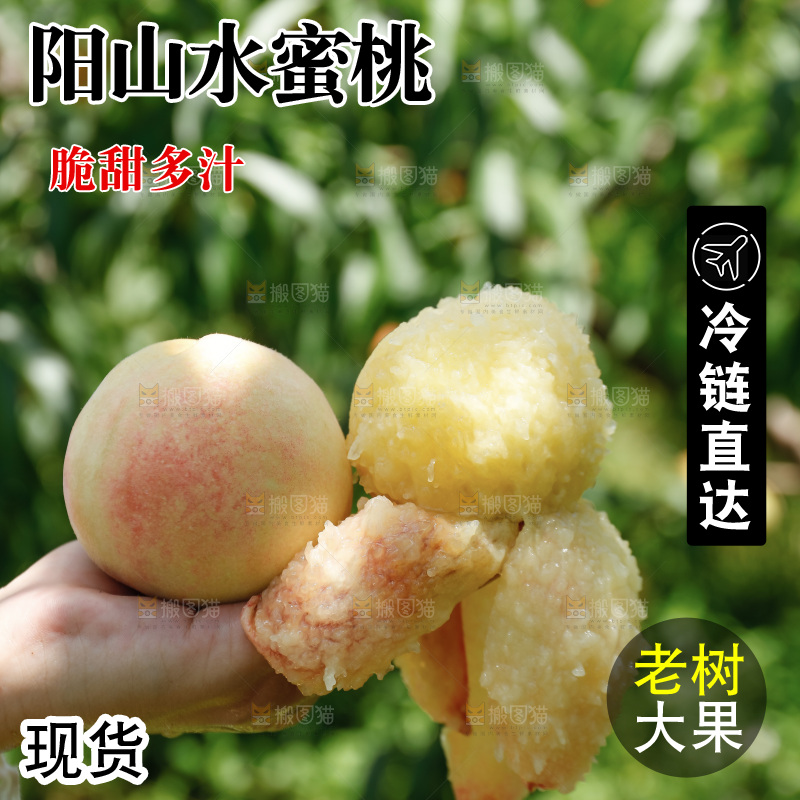 手里拿着现摘水蜜桃