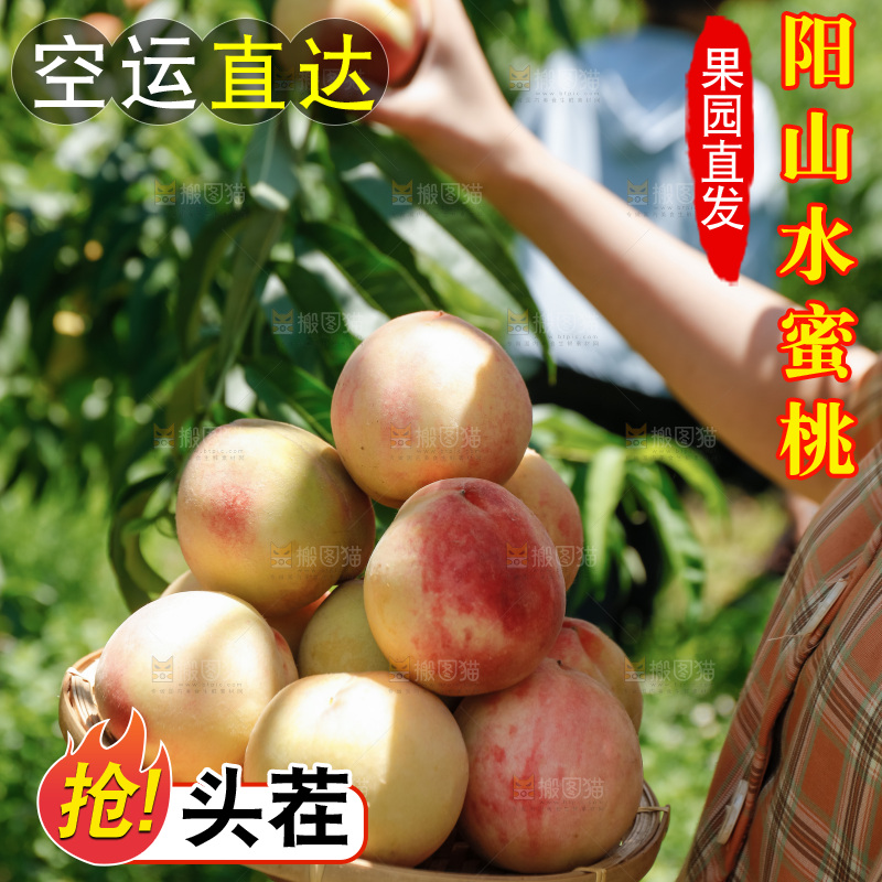 手里拿着现摘水蜜桃