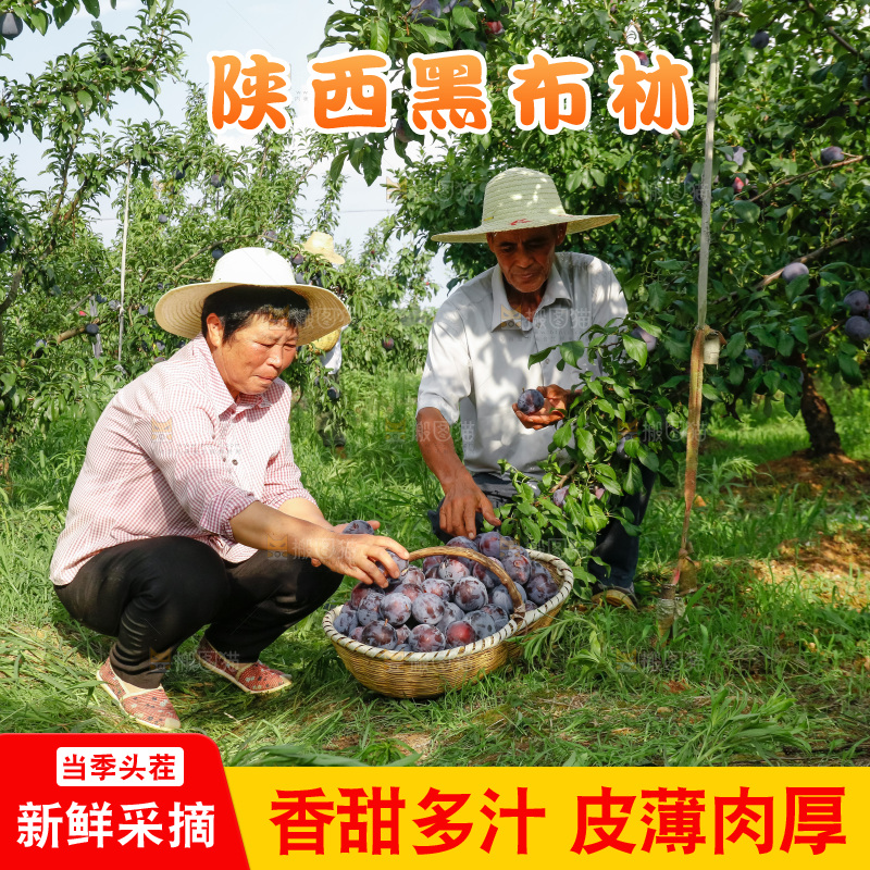 新鲜现摘黑布林