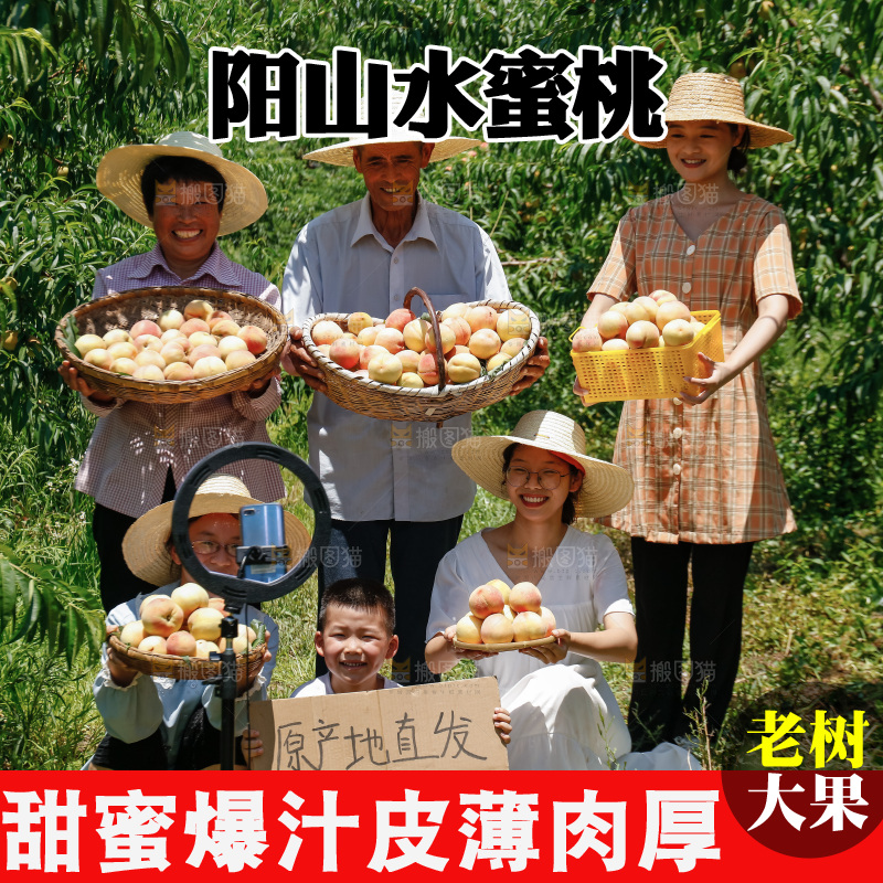 手里拿着现摘水蜜桃