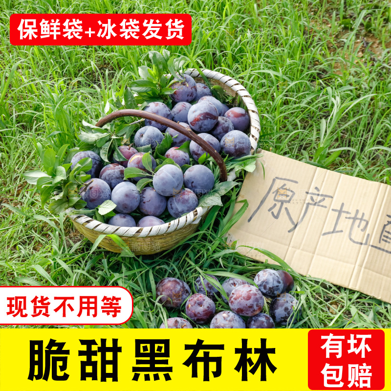 新鲜现摘黑布林
