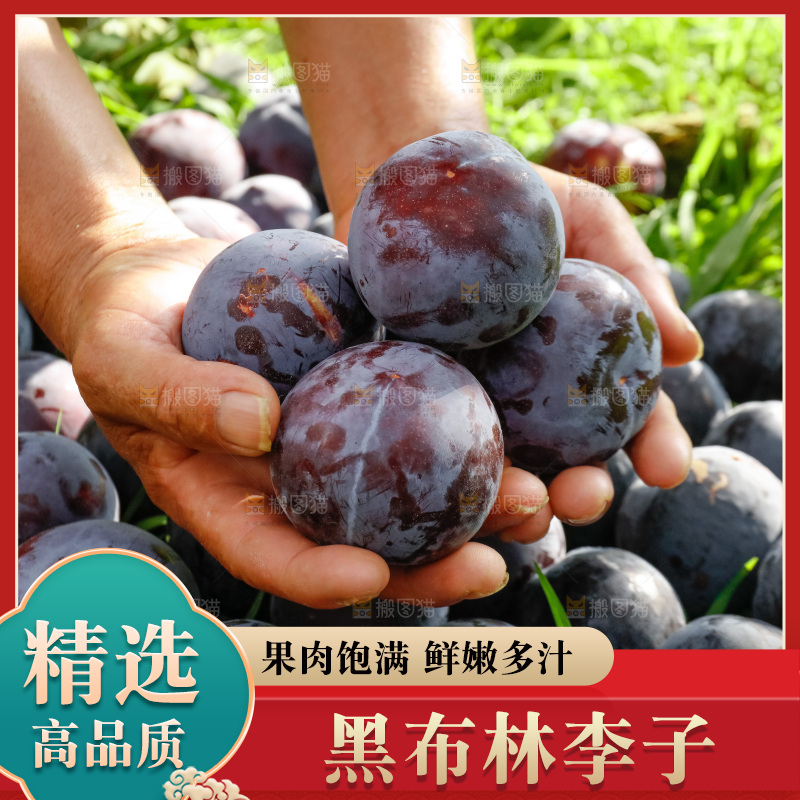 新鲜现摘黑布林