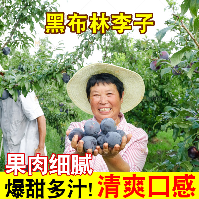 新鲜现摘黑布林