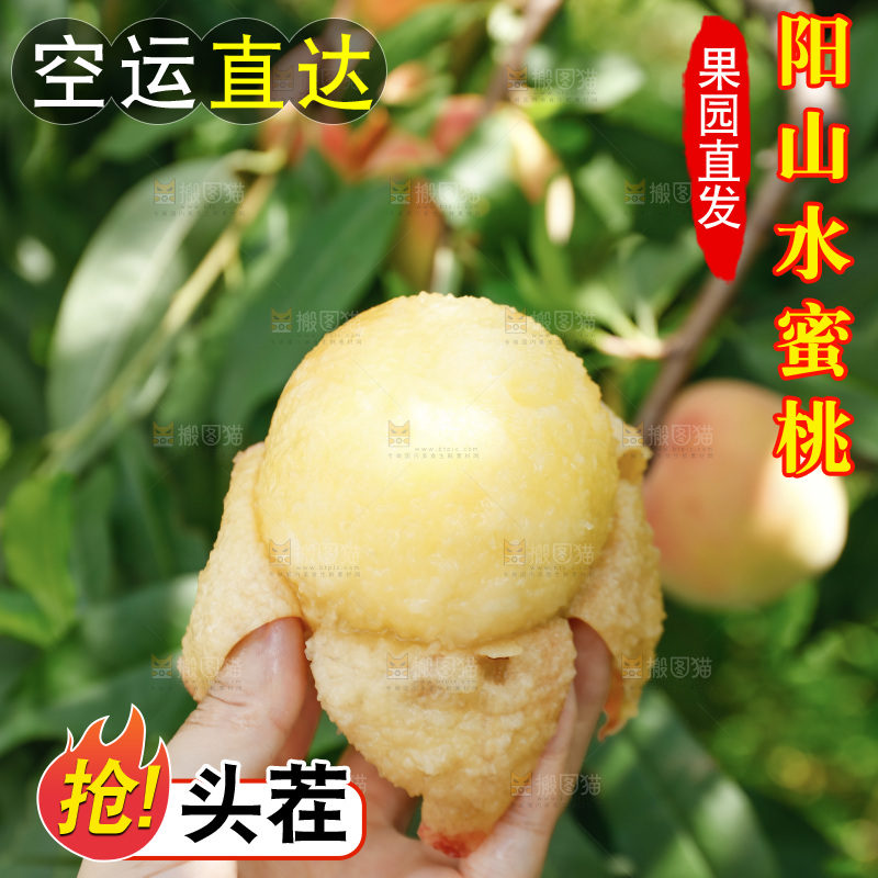 手里拿着现摘水蜜桃