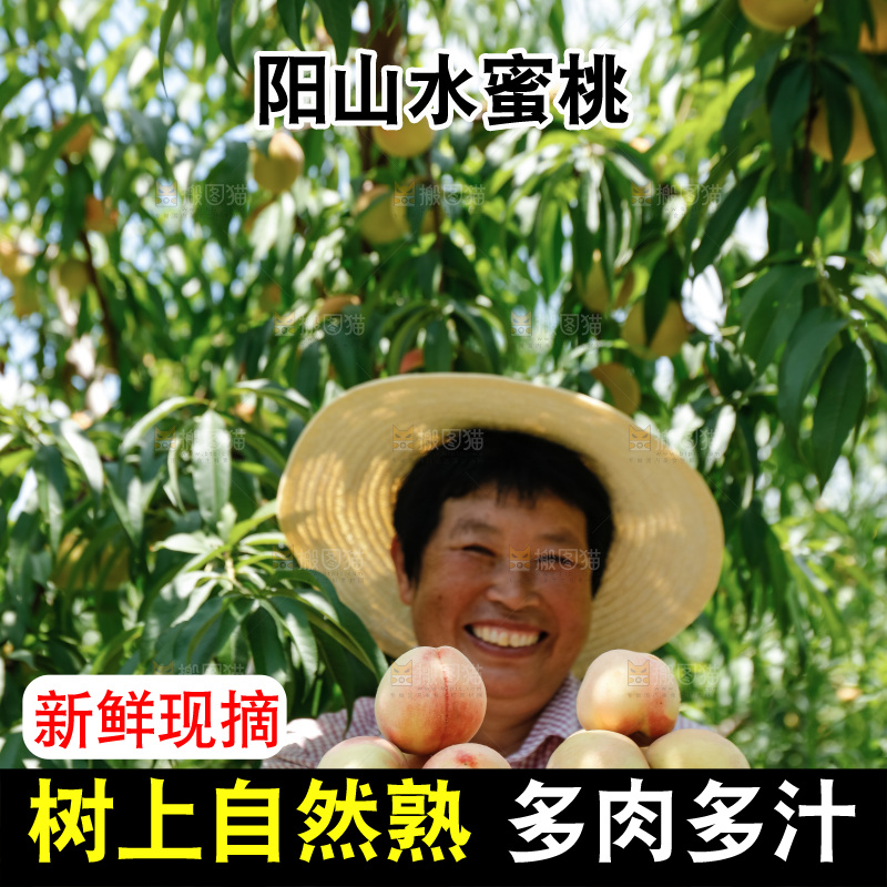 手里拿着现摘水蜜桃