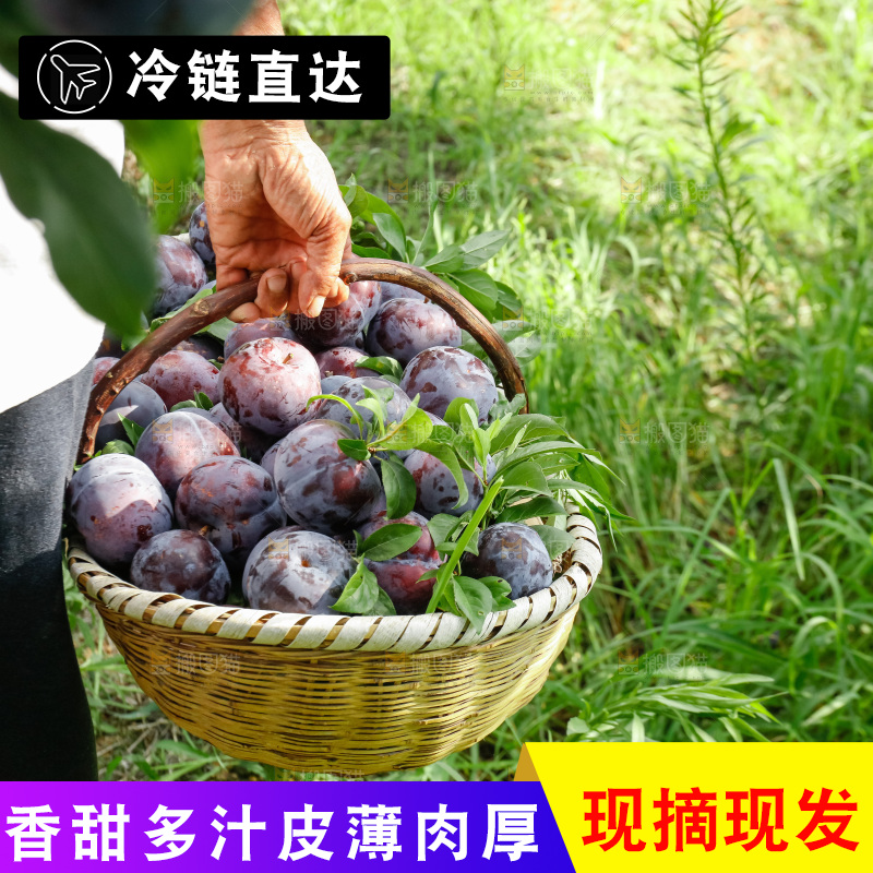 新鲜现摘黑布林
