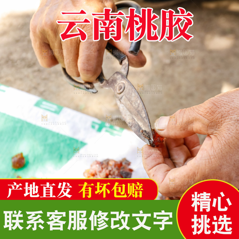 堆放着的现摘桃胶