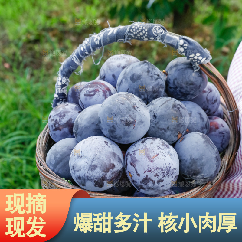 新鲜现摘黑布林