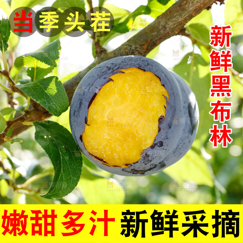 新鲜现摘黑布林