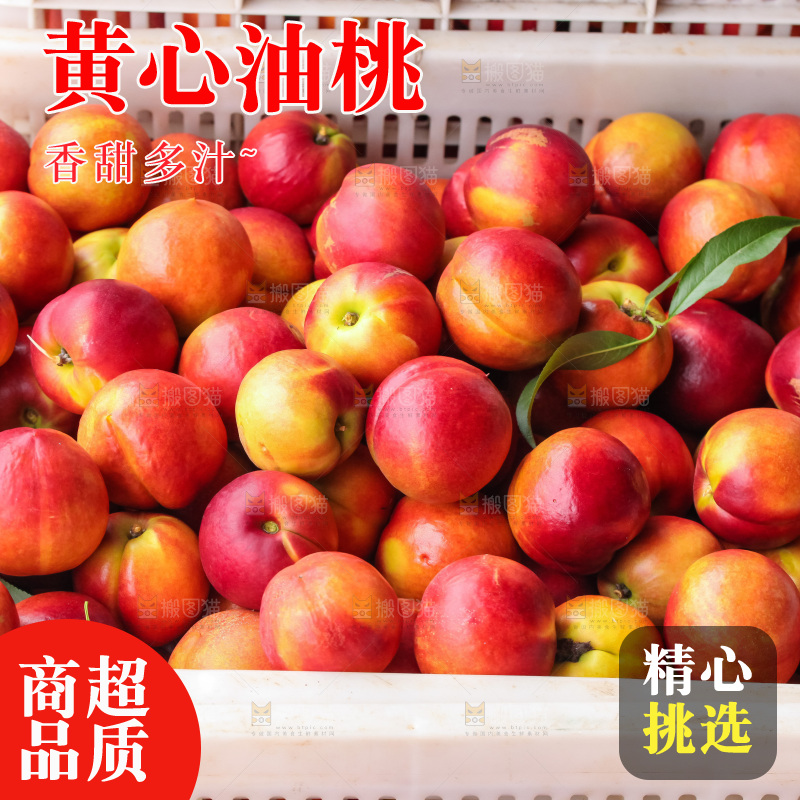 现摘的新鲜黄心油桃