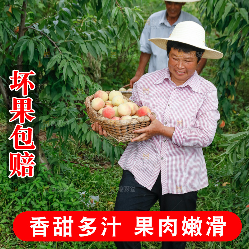 手里拿着现摘水蜜桃