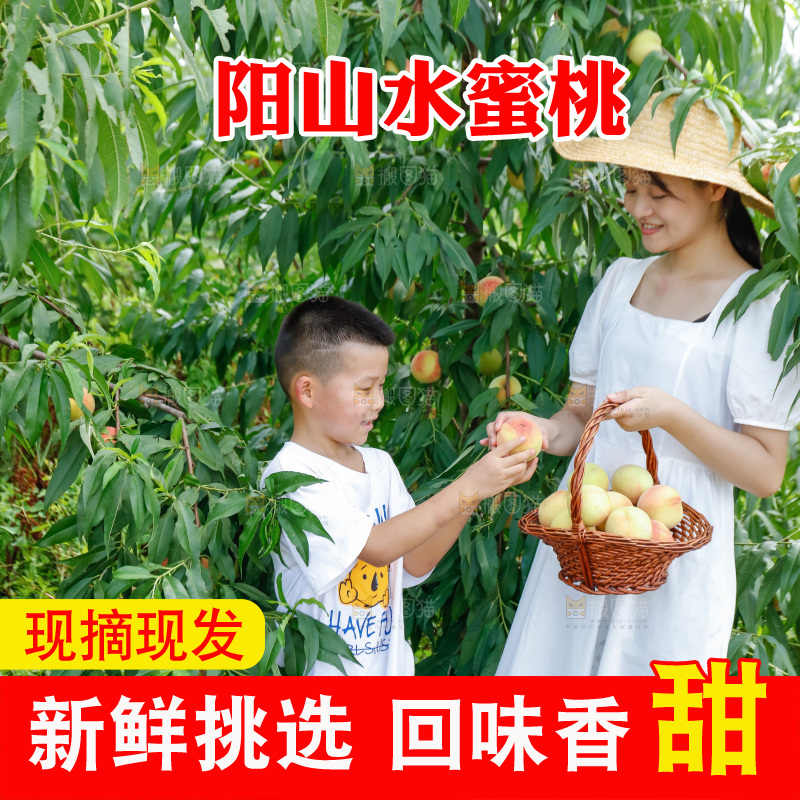 手里拿着现摘水蜜桃