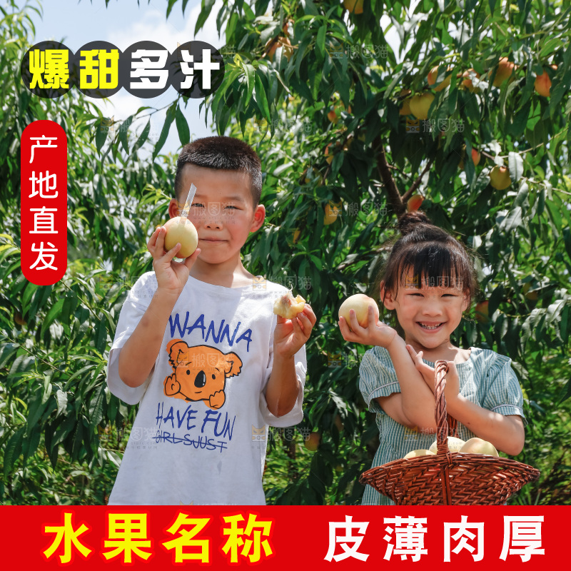 手里拿着现摘水蜜桃