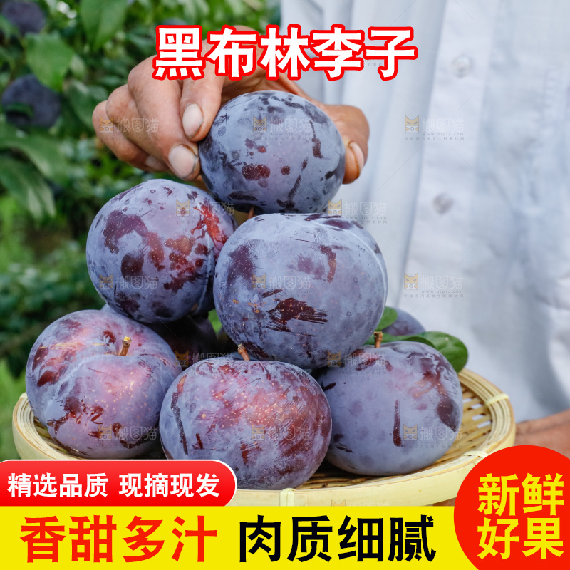 新鲜现摘黑布林