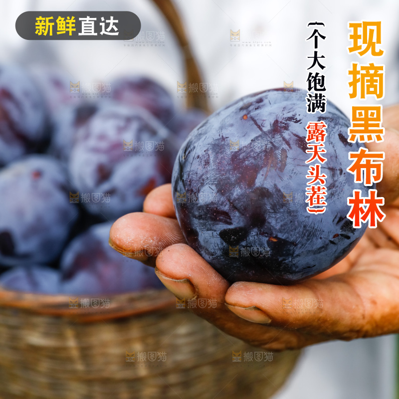 新鲜现摘黑布林