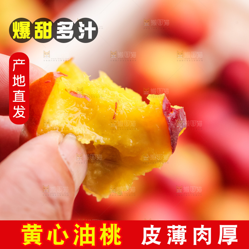 现摘的新鲜黄心油桃