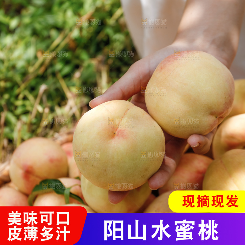 手里拿着现摘水蜜桃