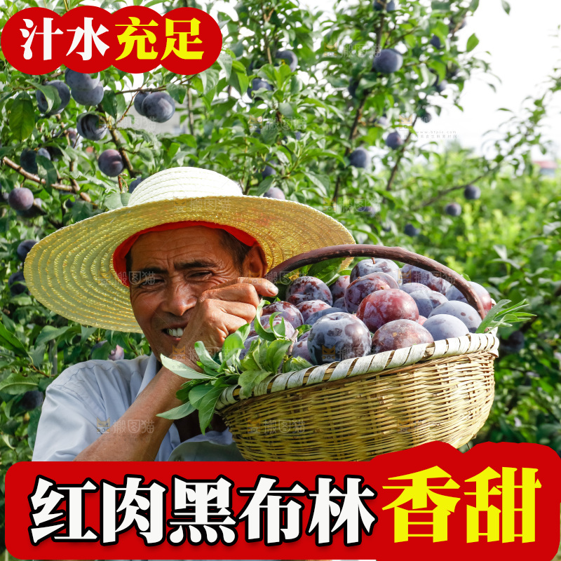 新鲜现摘黑布林