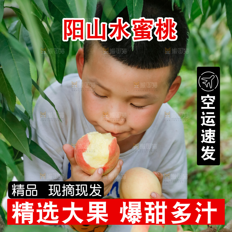 手里拿着现摘水蜜桃