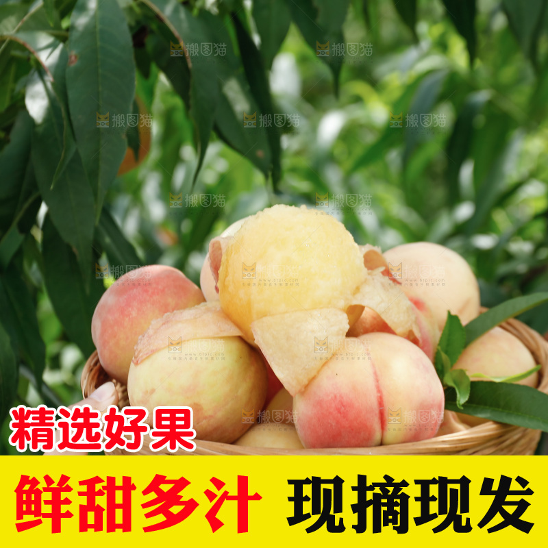 手里拿着现摘水蜜桃