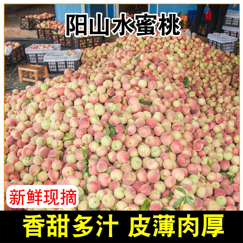 手里拿着现摘水蜜桃