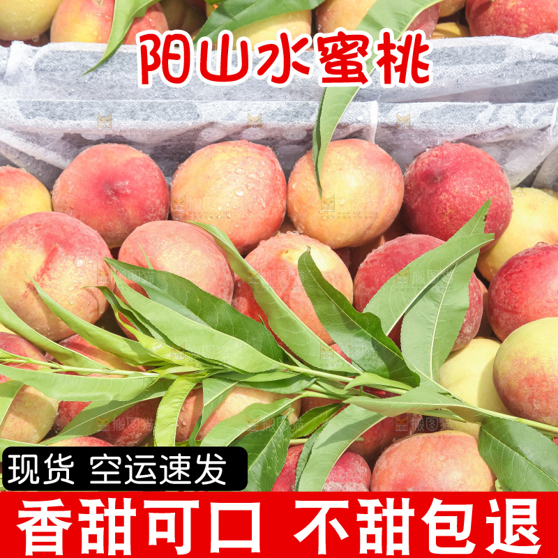 手里拿着现摘水蜜桃