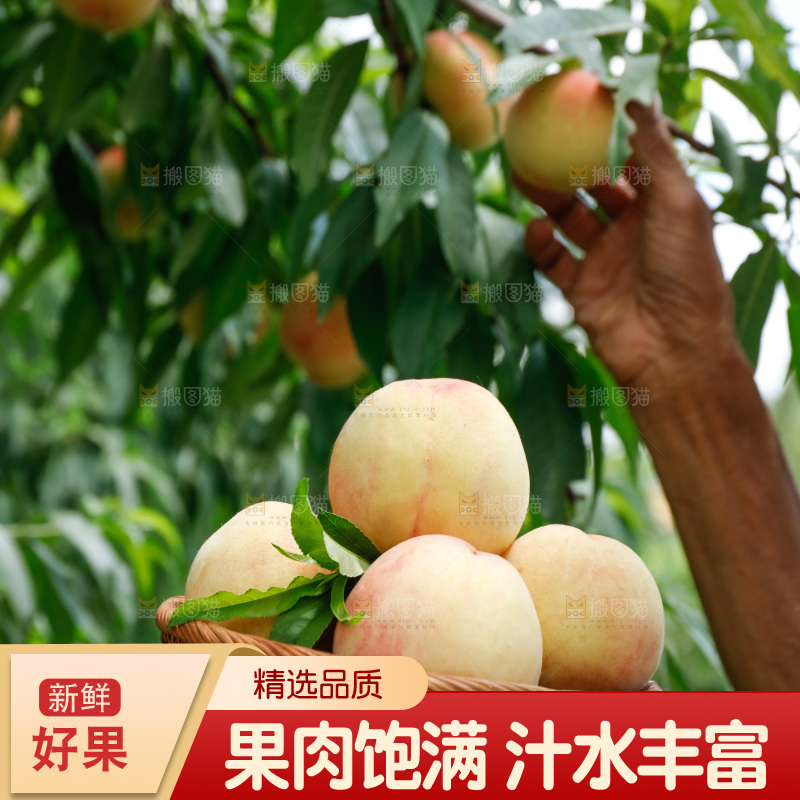 手里拿着现摘水蜜桃