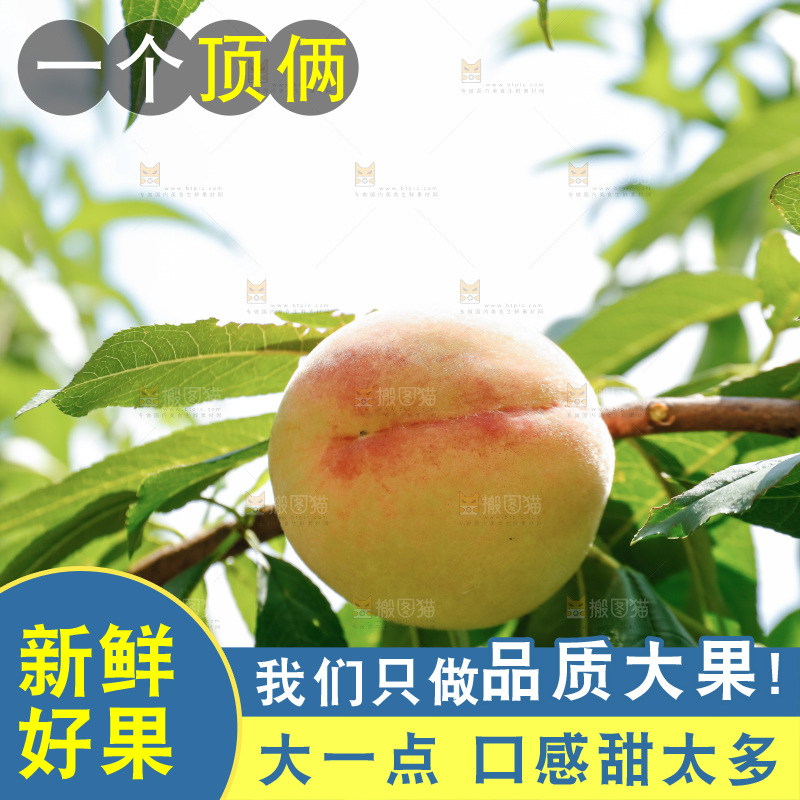 手里拿着现摘水蜜桃