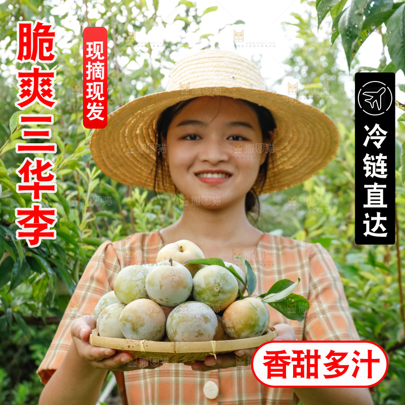 手里拿着红肉三华李