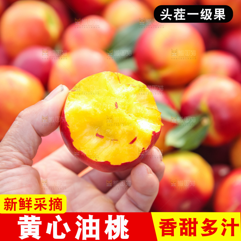 现摘的新鲜黄心油桃