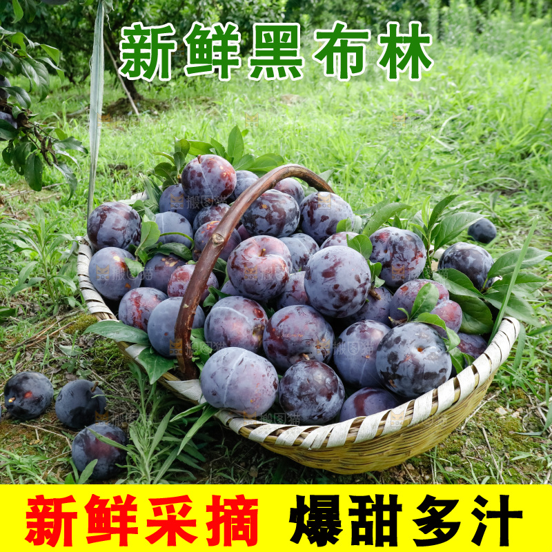 新鲜现摘黑布林