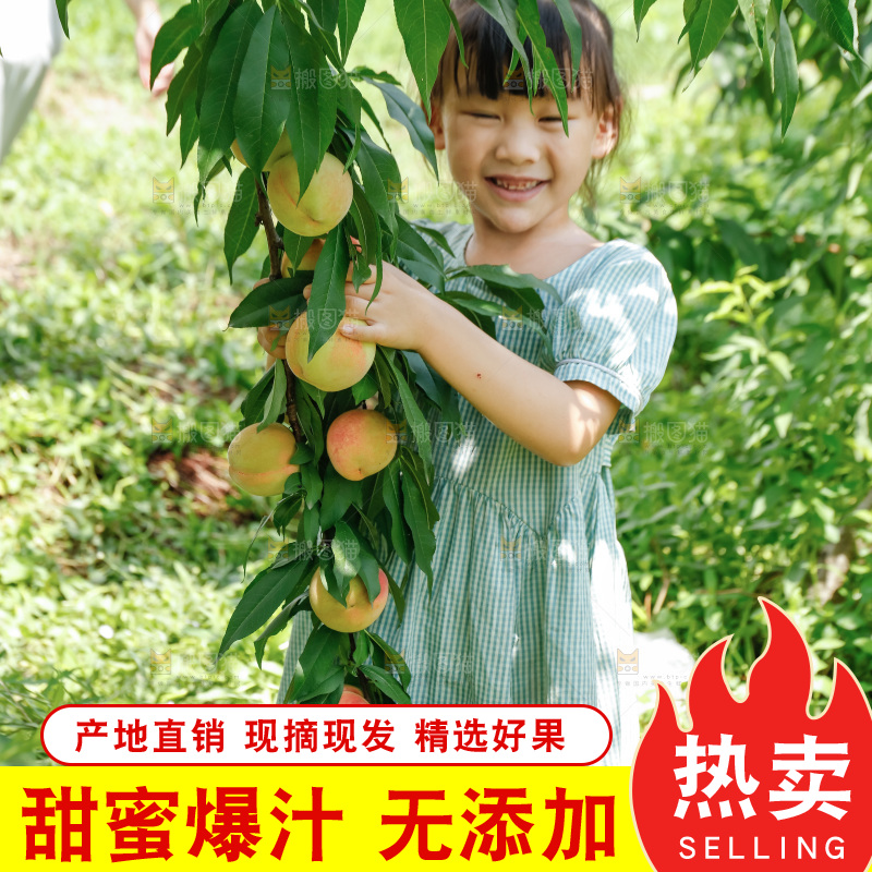 手里拿着现摘水蜜桃