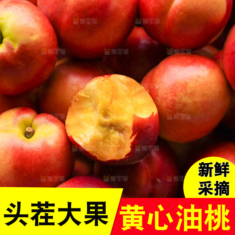 现摘的新鲜黄心油桃