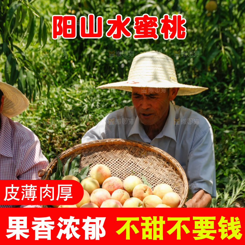 手里拿着现摘水蜜桃