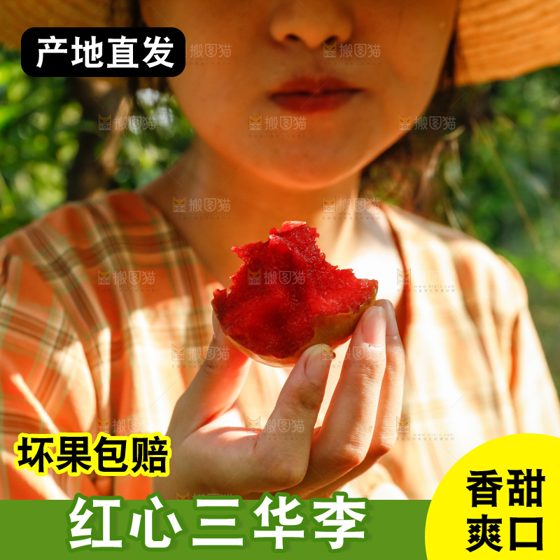 手里拿着红肉三华李