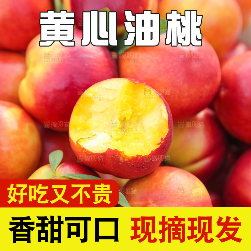 现摘的新鲜黄心油桃