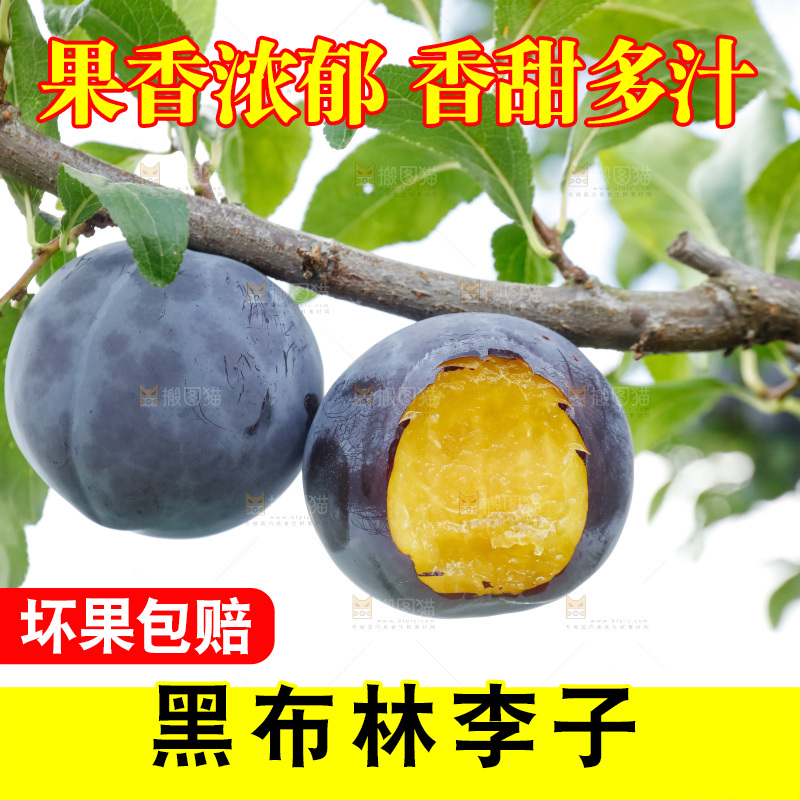 新鲜现摘黑布林