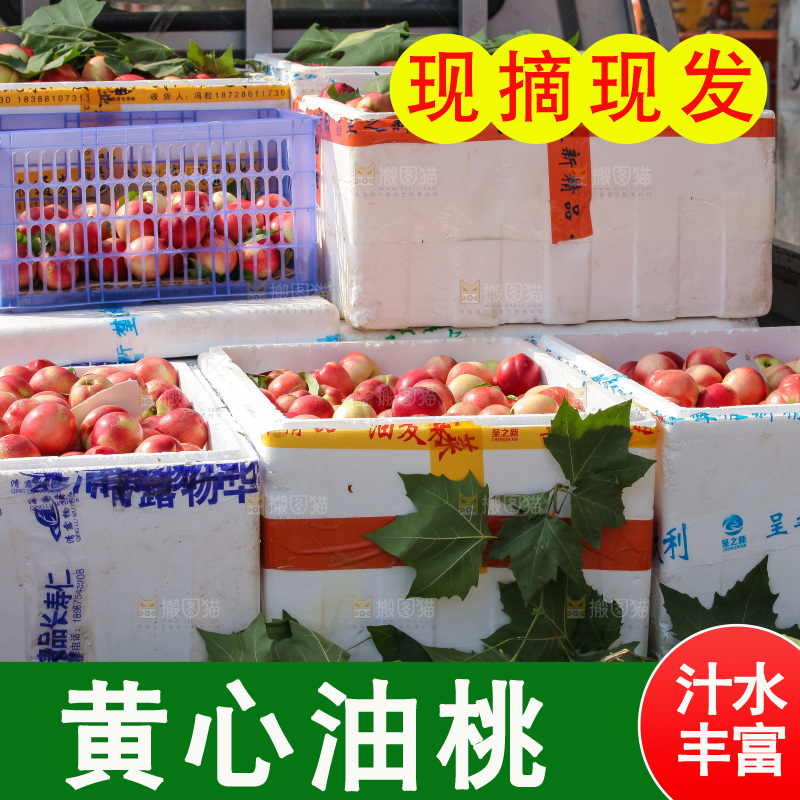 现摘的新鲜黄心油桃