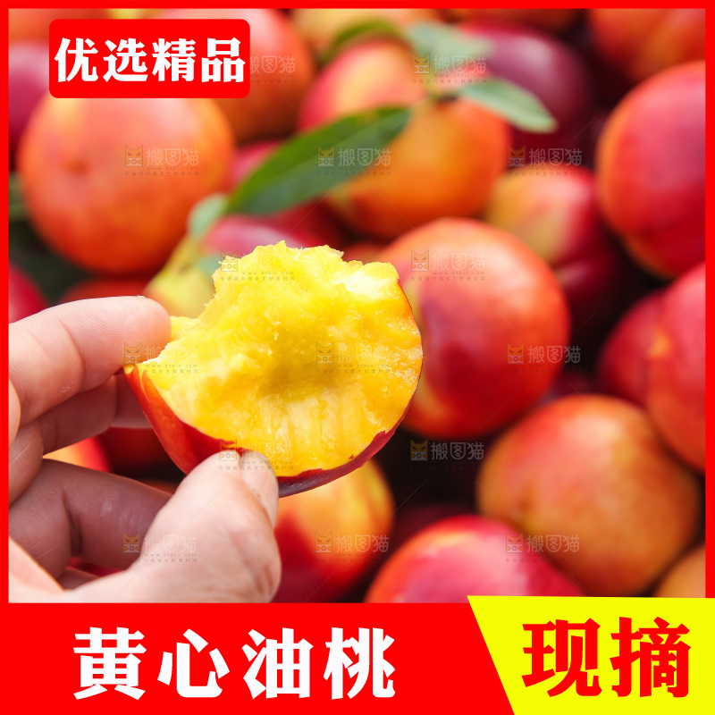现摘的新鲜黄心油桃
