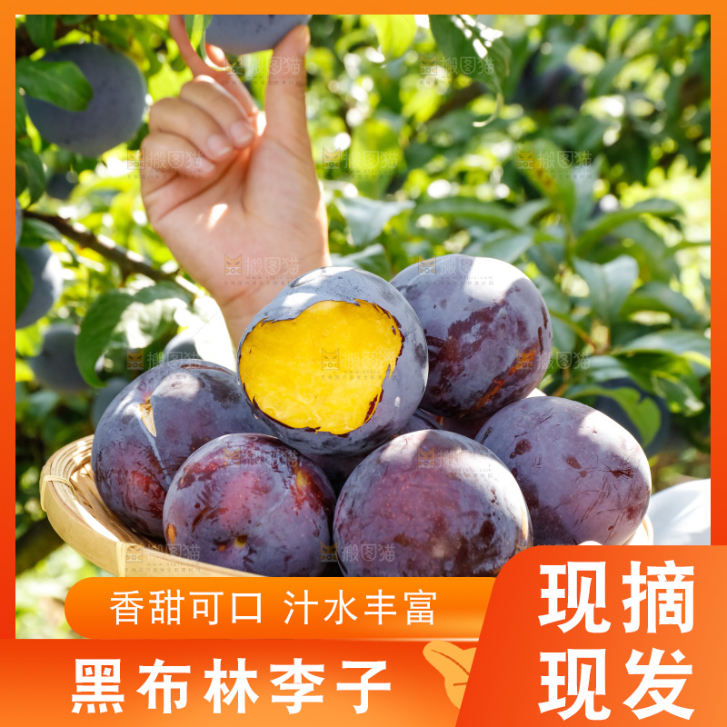 新鲜现摘黑布林