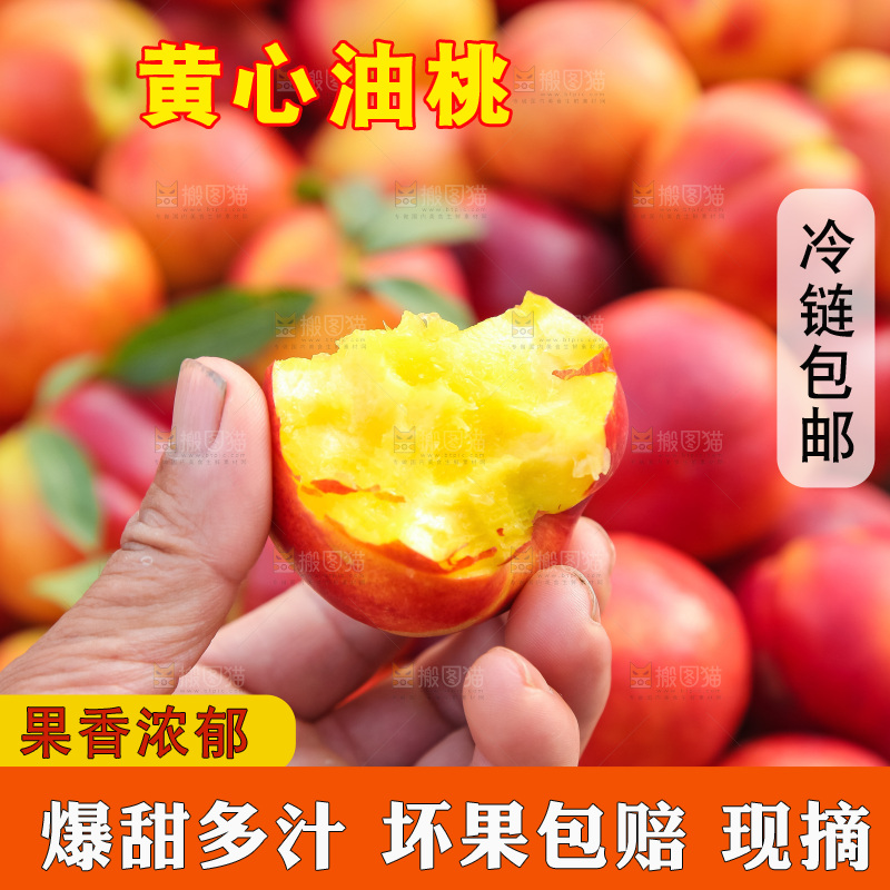 现摘的新鲜黄心油桃