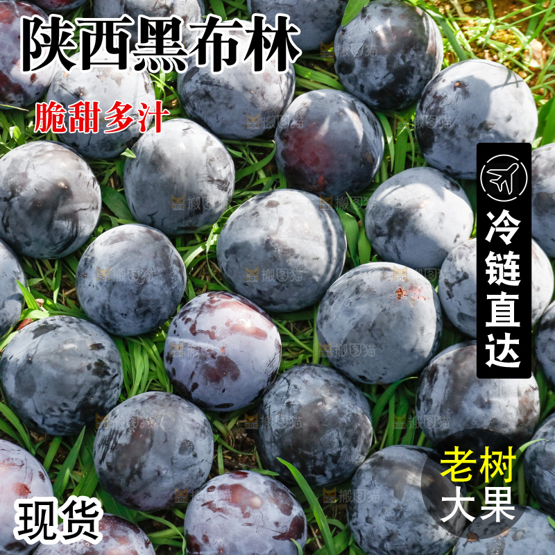 新鲜现摘黑布林