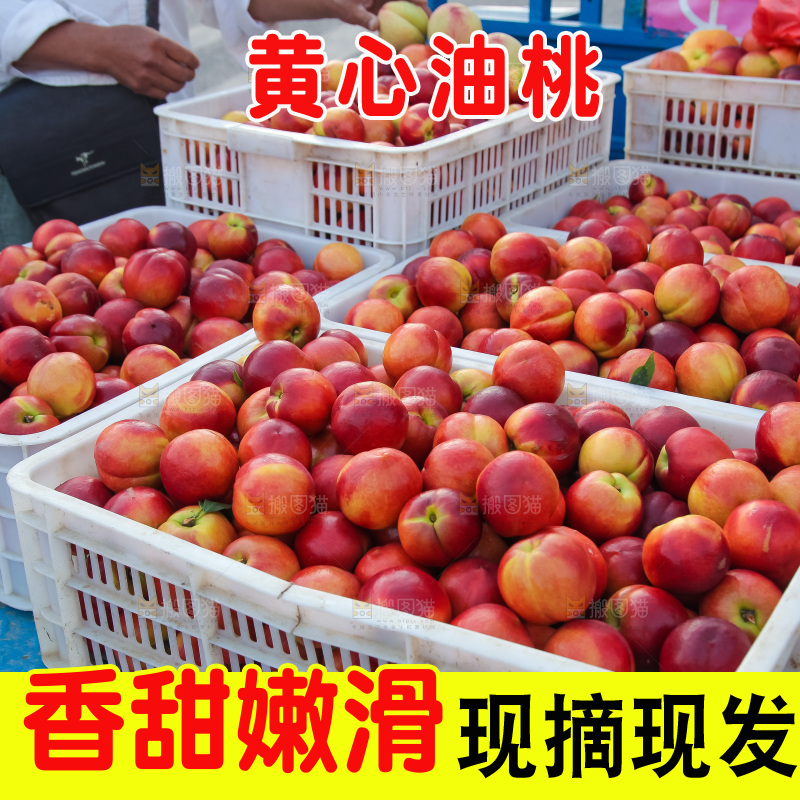 现摘的新鲜黄心油桃