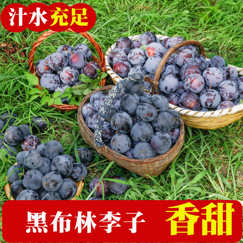 新鲜现摘黑布林