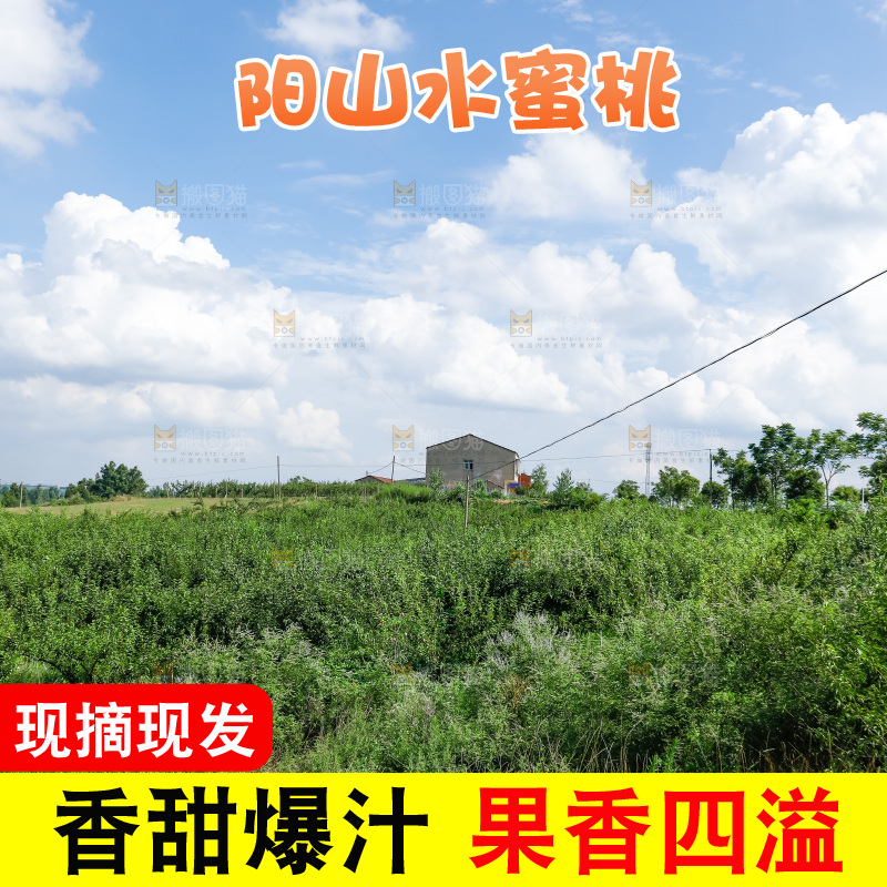 手里拿着现摘水蜜桃